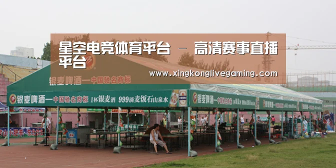案例标题七