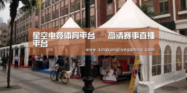 案例标题九
