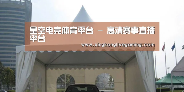 案例标题八